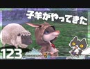 轟くFF11＿復帰プレイ123　子羊がやってきた