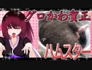 グロかわちゃんのハムスターの日常。36