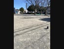 公園でUber Eats待機中です