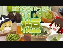 【ゆっくり解説】枝豆の栄養について解説！