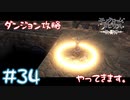 【ゲーム実況】鴉の試練攻略すっぞ！【モノクロームメビウス】#34