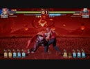 ファイティングＥＸレイヤー： シャドウガイストvs テリーボガード（自分）
