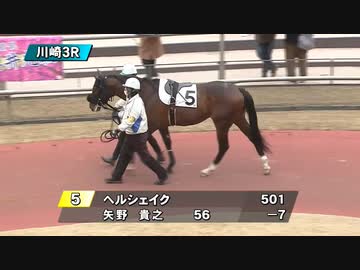 【ウマ娘風】2月3日3R 3歳7組イ～ヘルシェイク矢野初勝利戦～(川崎・2023)