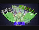 ずんだもんとお兄さん　真相編