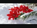 【MV】雪輝花 / ALL GOD feat. flower