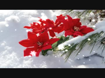 【MV】雪輝花 / ALL GOD feat. flower