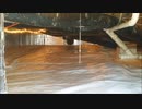 Sealed Solution