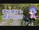 【ロードバイク車載】気まぐれポタリング【珍スポ２選】