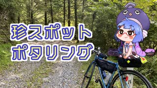 【ロードバイク車載】気まぐれポタリング【珍スポ２選】