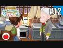 【実況】牧場物語 Welcome！ ワンダフルライフを遊ぶいも【#12】
