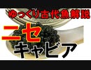【ゆっくり解説】現生の古代魚解説　チョウザメ編外伝・イミテーションキャビア【アクアリウム】