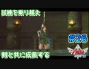 【ゼルダの伝説スカイウォードソード】空と大地と時々姫と_Part26【実況】
