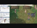 【RO】自動鷹ウインドホーク