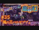 超魔界村プロの【帰ってきた魔界村】実況#35『蝿の王ベルゼブブ』