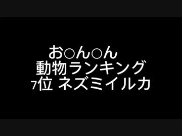 お○ん○ん　大きさ動物ランキング7位