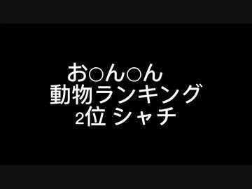 お○ん○ん　大きさ動物ランキング2位