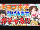 ゆっくりトレーナー奇譚　part13　～チョコアイネス引けるまで終われません～