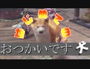 モンハンSB　黄金の風使い