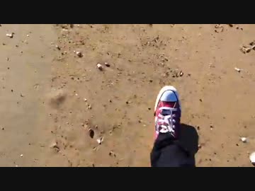 【歌ってみた】フレル【しゃも】