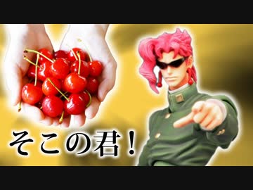 お茶スタービーボーイⅥ