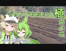2023年2月6日　農作業日誌P532　まだまだ続くよジャガイモ植え付け作業　VOICEVOX