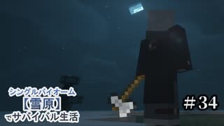 ＃34 ついに決着！？【Minecraft】シングルバイオーム❅雪原❅でサバイバル生活