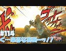 近衛兵のブーツが見つからない！【ハイラル城編】#114