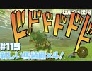 爆弾矢20本くれるおじさんおった【ハイラル城編】#115