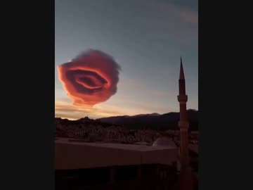 金持ちのボンボンが狂人になることくらい分かるだろう？