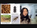 昆虫食はゴキブリ食　　それがスタンダードになる世界なんて絶対嫌。