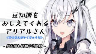 豆知識をおしえてくれるアリアルさん(312)【coefont劇場】