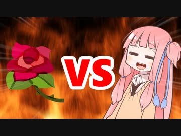 茜ちゃんVS薔薇