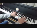【NieR:Automata】City Ruins(Animenz arr.) 弾いてみた