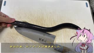 珍食材が食べたい！#127　カワヤツメの刺身と焼き