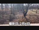 ざざ虫を取りに行きたかった…