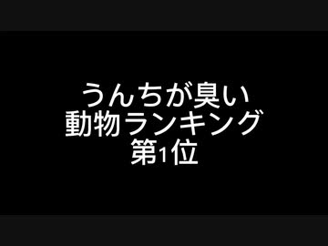 うんちが臭い動物ランキング第1位