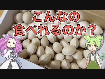 こんなの食べれるのか？【ずんだもんと学ぶギンナンの食べ方】