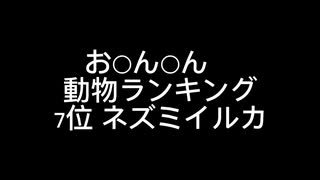 お○ん○ん　大きさ動物ランキング