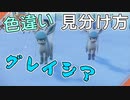 色違いグレイシアの見分け方【ポケモンSV】