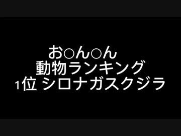 お○ん○ん　大きさ動物ランキング