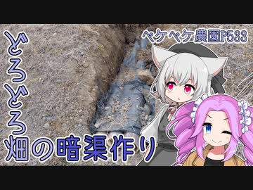 2023年2月7日　農作業日誌P533　べたべたなみかん畑に暗渠を作っていくだけ　VOICEVOX