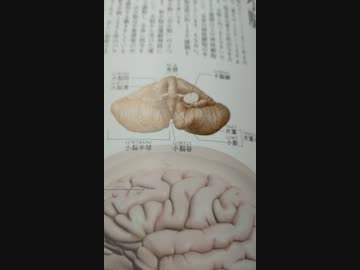 支配層の最終目的は、カミソリナノ粒子＋５Ｇである理由。