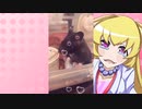 ヒヨリちゃんのハムスターの日常。3