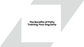 The Benefits of Potty Training Your Dog Early