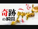 0607C⑦【感動の瞬間】雛の反応は？悲劇のカモ親子、勇気の引っ越し飛び降りから奇跡の再会まで密着。雛混ぜ母の接近　#カルガモ親子　#野鳥 　#身近な生き物語