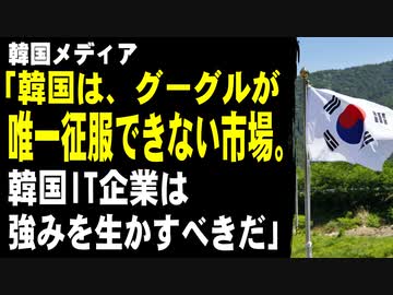韓国メディア「韓国は、グーグルが唯一征服できない市場。韓国IT企業は強みを生かすべきだ」