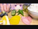 【咀嚼音ASMR】お漬物 岩下の新生姜 きゅうり おくら 白菜 小茄子 たくあん【Vtuber/もぐ太】