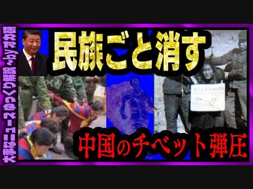 【 ゆっくり解説 】 文化までジェノサイド チベットの受難 中国共産党