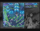 式神の城Ⅲ 金美姫（弐式）