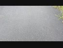 歩いてみた